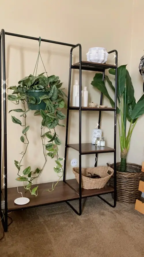 Diy repurpose a Clothes Organizer plant hanger