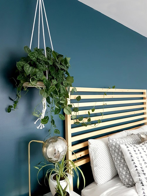 Diy Modern Hanging Planter