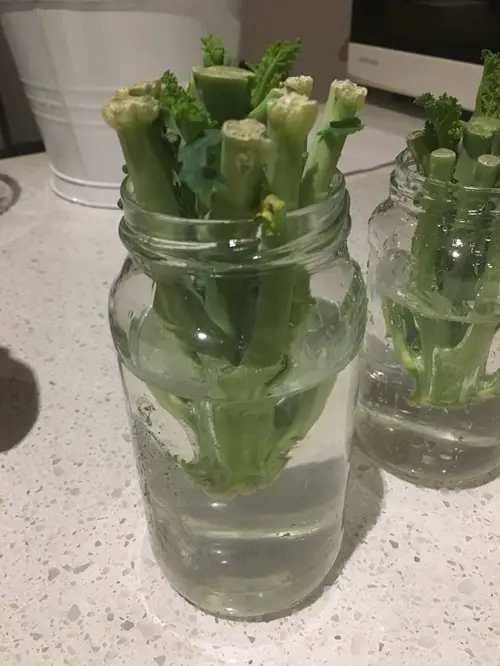 Kale