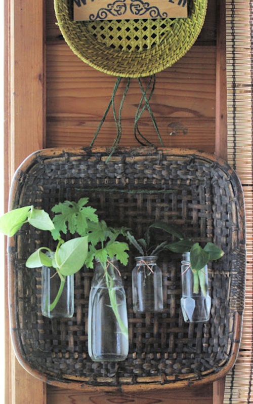 Propagation in Mason Jars