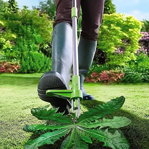 Gardening Tools for Seniors 22