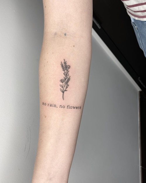 No Rain No Flowers with Tiny Stems