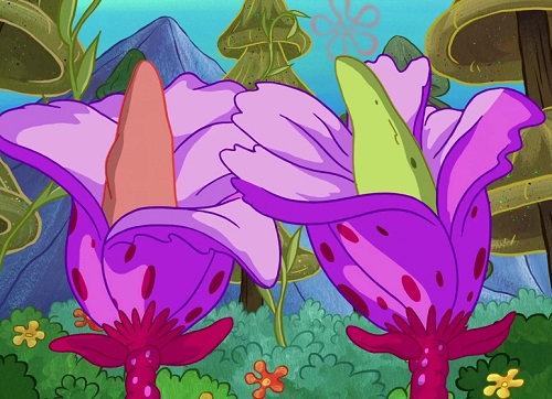 best SpongeBob Flowers Real or not i