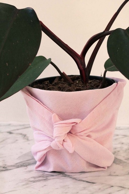 Best Ideas to Make Plants Look Festive for Holiday Season