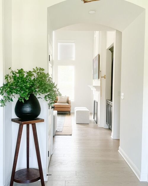 Wooden Stool as Corner Plant Stand