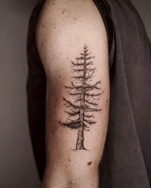 Spiritual Pine Tree