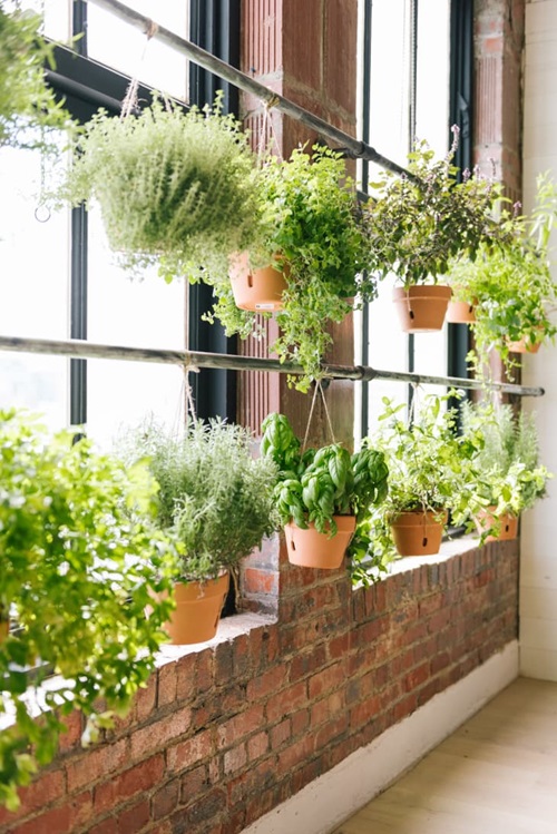 Sturdy Metal Rods for Propagation and Planting