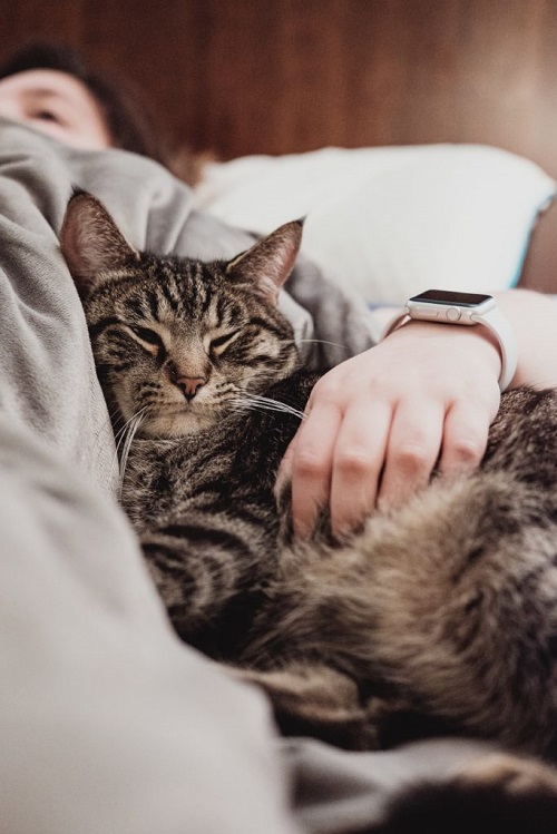 Abnormal Purring 