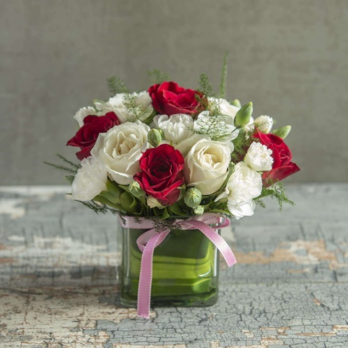 White Rose Combined with Other Roses 