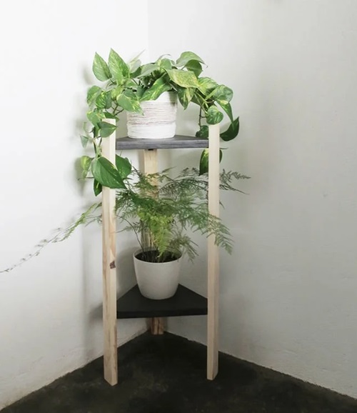 Easy Plant Holder