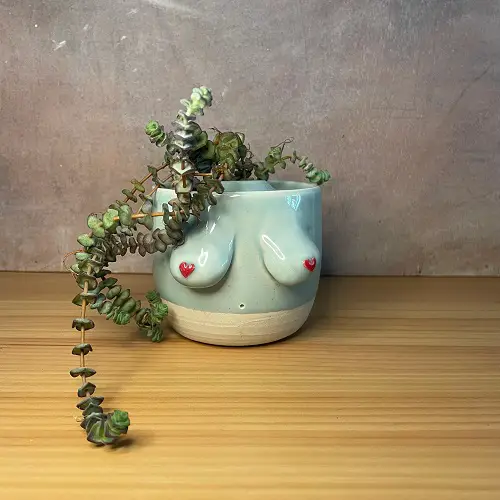 Shiny Boob Pot