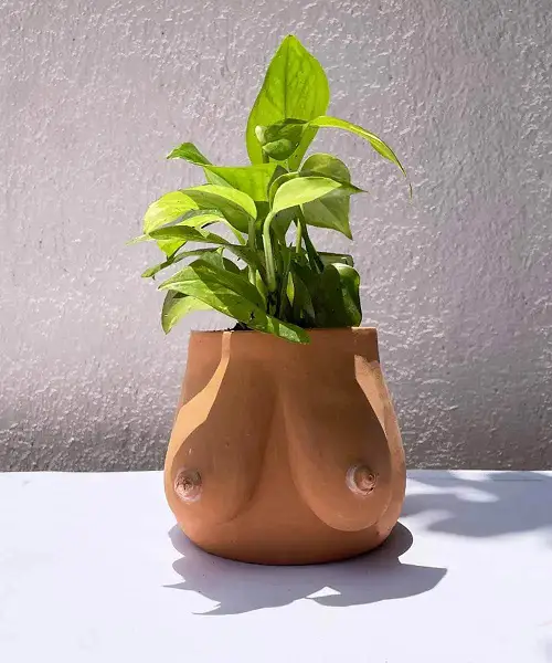 Wide Planter with Breasts