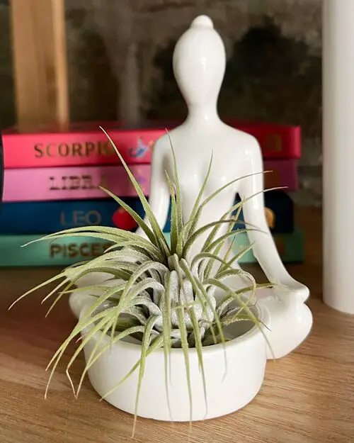 In a Repurposed Tea Light Ideas to Display Them in Style