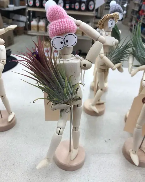 Wood Toy Air Plant Holders Ideas to Display Them in Style