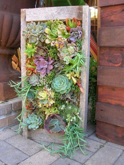 Succulent Frame Indoor Vertical Garden 