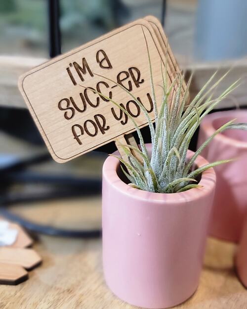 In Tiny Pots with Signs Ideas to Display Them in Style