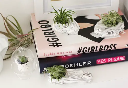 Marbled Air Plant Holder Display Ideas to Display Them in Style