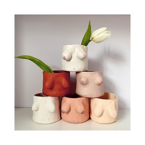 Boob Planter DIY Kit
