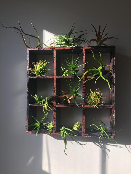 In an Open Wall Cabinet Ideas to Display Them in Style