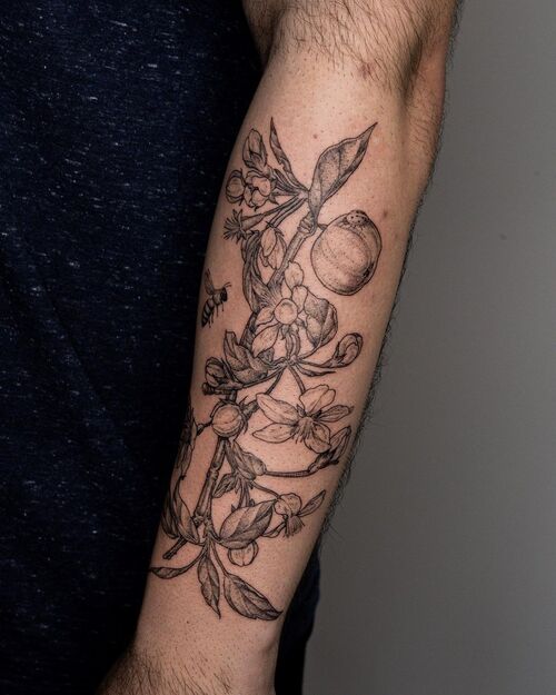 Apple Blossoms and Bee tattoo designs