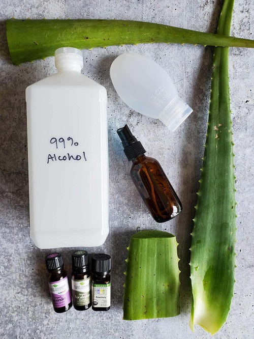 Amazing Facts All Aloe Plant Users Should Know uses hand Sanitizer
