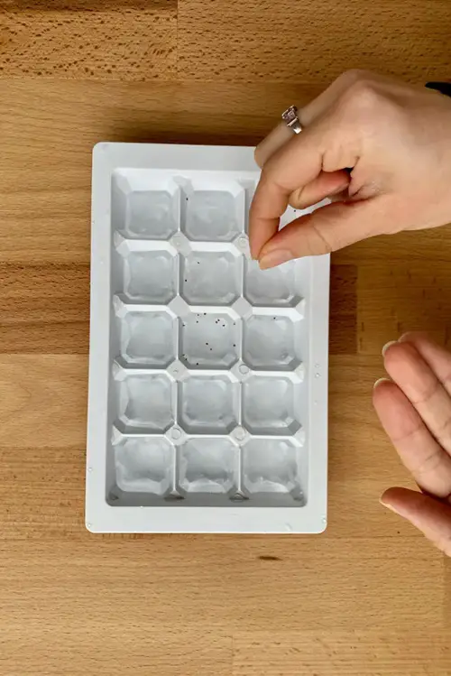 Ways To Pre-sprout Seeds For Faster Germination 2
