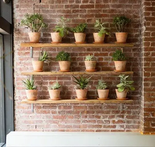 Indoor Vertical Garden 