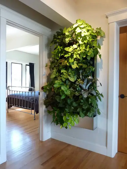 Ideas for Indoor Vertical Gardens 