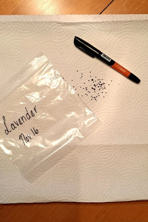 Lavender seeds for freezing ziplock bag