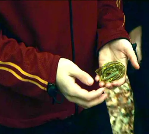 Real-Life Harry Potter Plants