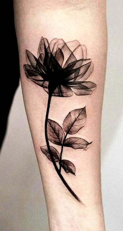 Go with the Geometrical Touch meaning and idea