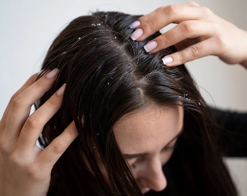 Fascinating Things with an Aloe Plant hair care 