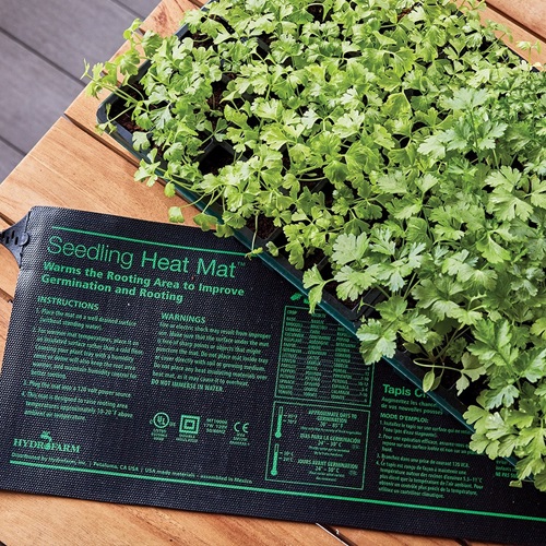 Tricks to Propagate Plants Successfully in Fall and Winter