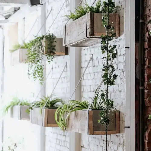 Wooden Boxes Indoor Vertical Garden