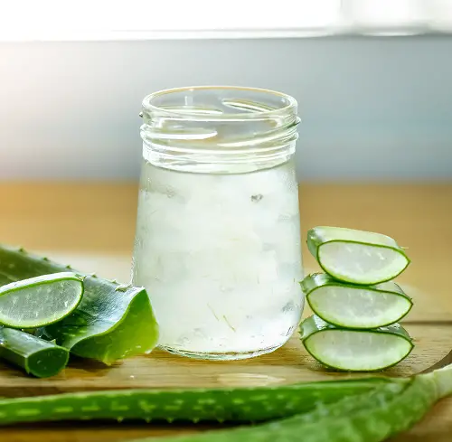 Interesting Things to Do with an Aloe Plant 2