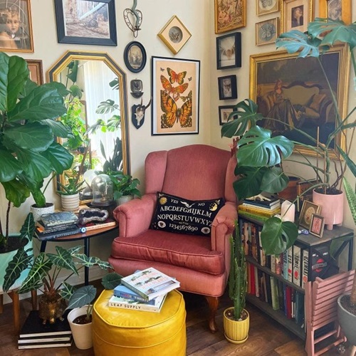 Plants near sofa How to Declutter Your Indoor Garden