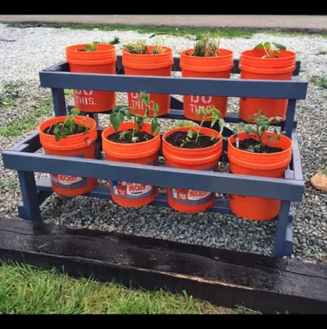 Flower Display Stand With orange Buckets 