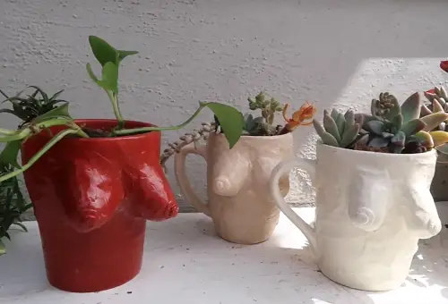 DIY Boobie Planter