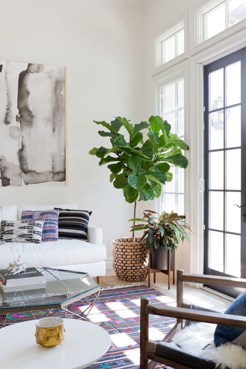 Plant pot near window 