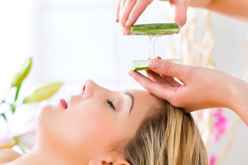 Fascinating Things with an Aloe Plant 