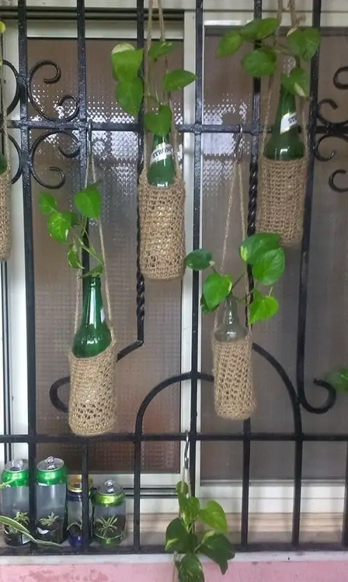 Indoor Vertical Garden ideas 1