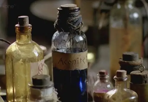 Real-Life Plants from Harry Potter