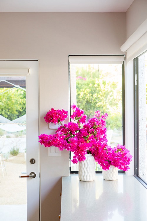 Purple-Flowered Indoor Plants 1