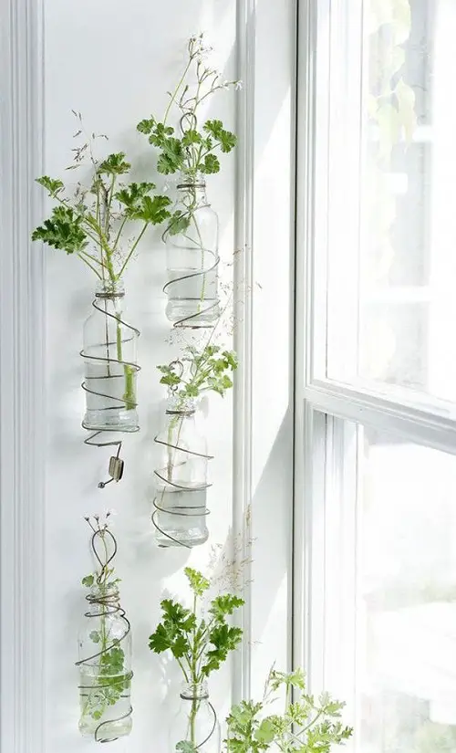 Vertical Water Indoor Vertical Garden 