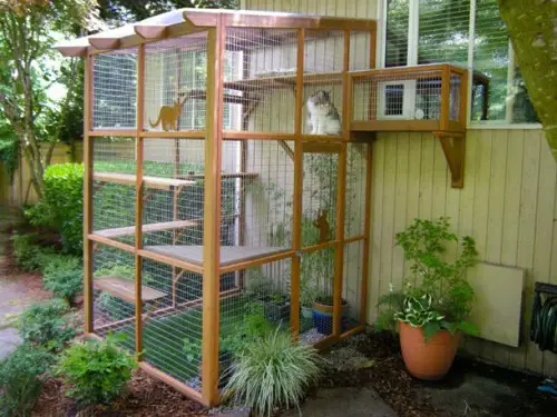DIY Catio ideas