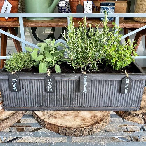  Grow Rosemary in windowsill boxes