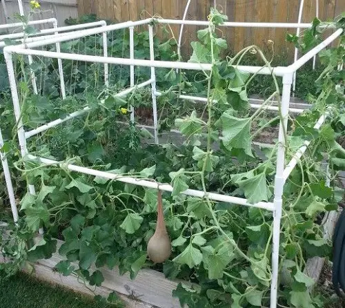 Designs for Cantaloupe Trellises2