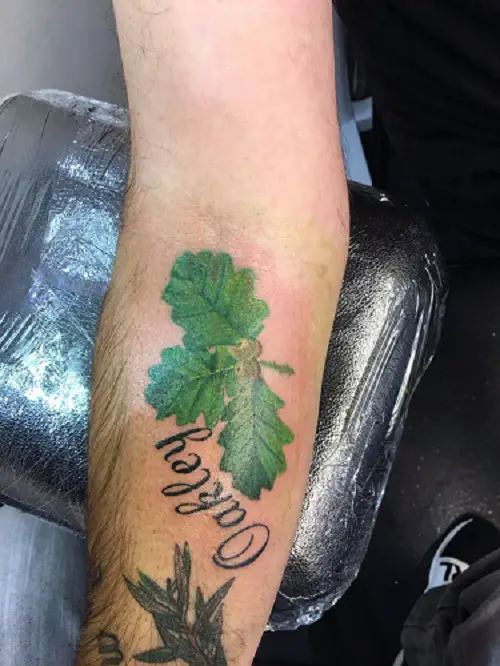 Oak leaf tattoo designs 7