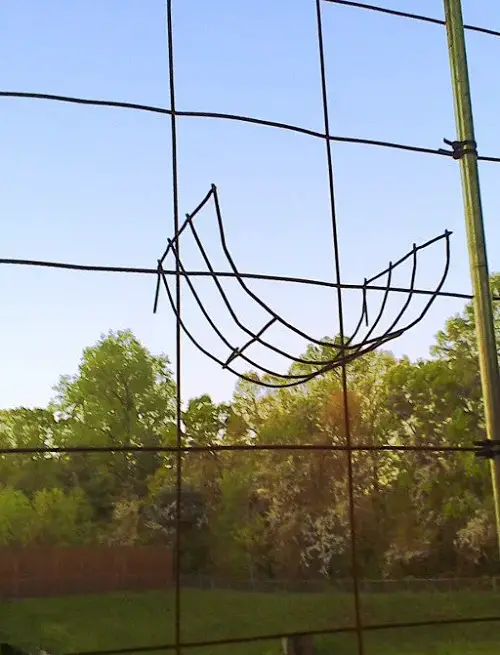 Designs for Cantaloupe Trellises 4