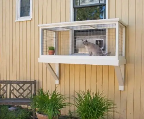 Amazing DIY Catio ideas